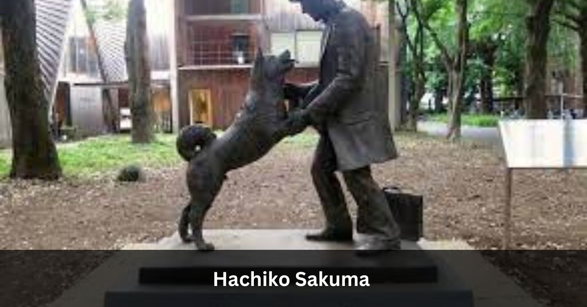 Hachiko Sakuma – An Unforgettable Tale of Dog That Patiently Awaited His Owner for 10 Years