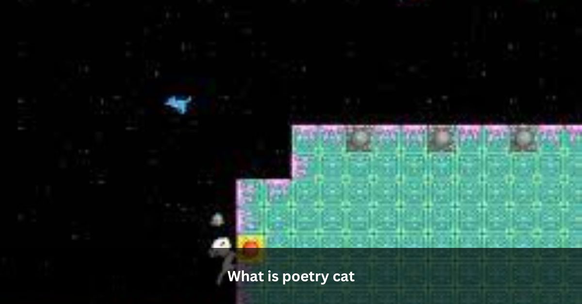What is poetry cat